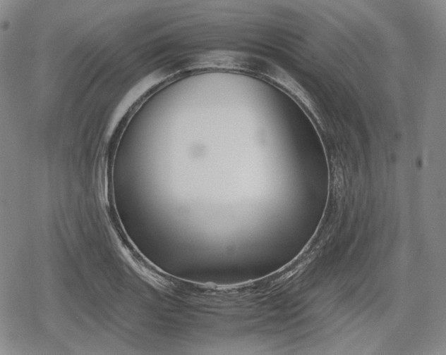 X0000080161131200612221219