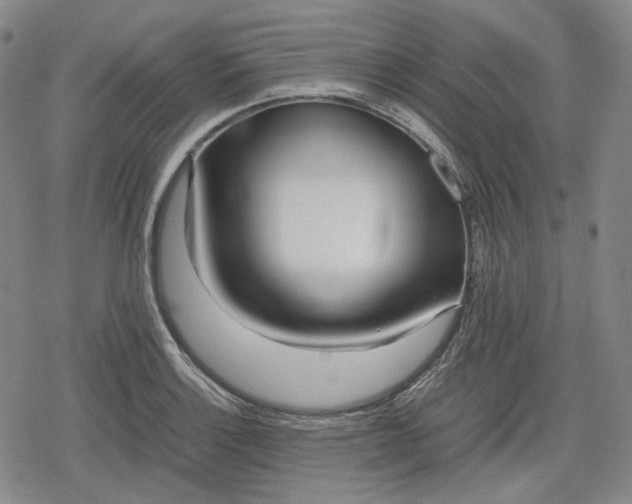 X0000080161132200612221219