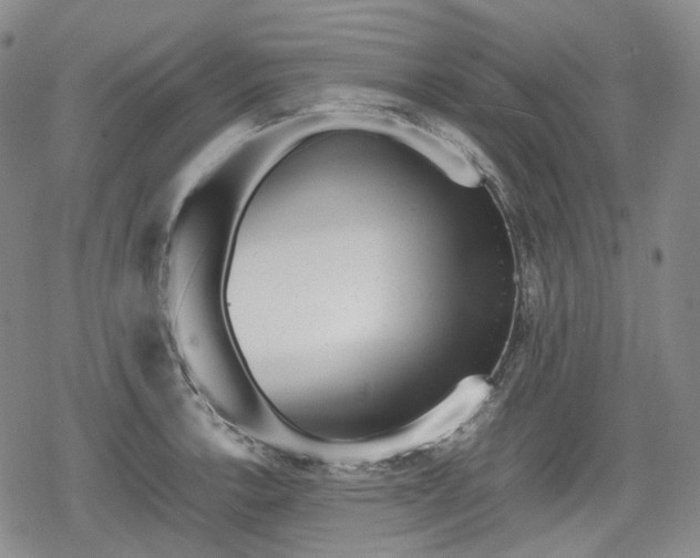 X0000080161138200612221219