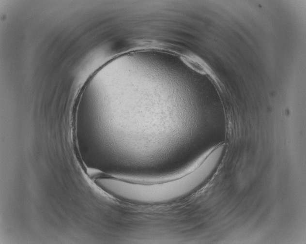 X0000080161143200612221219