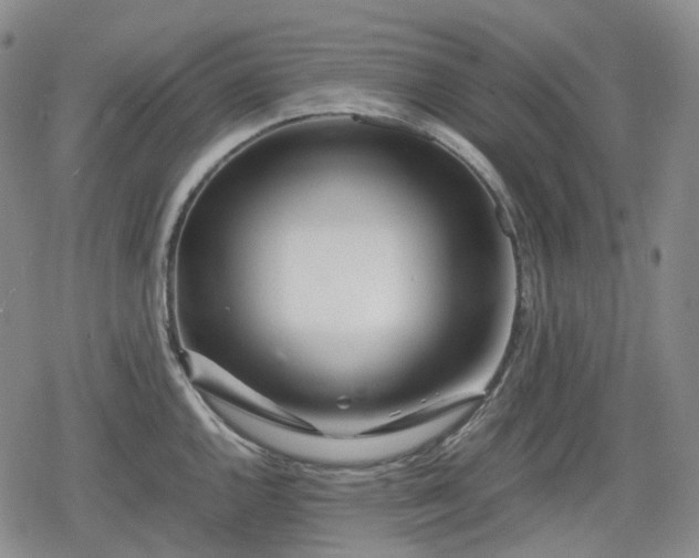 X0000080161144200612221219