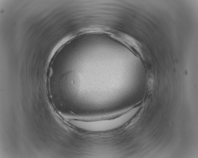 X0000080161146200612221219
