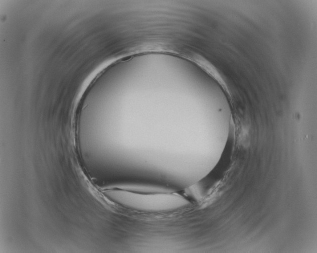 X0000080161148200612221219