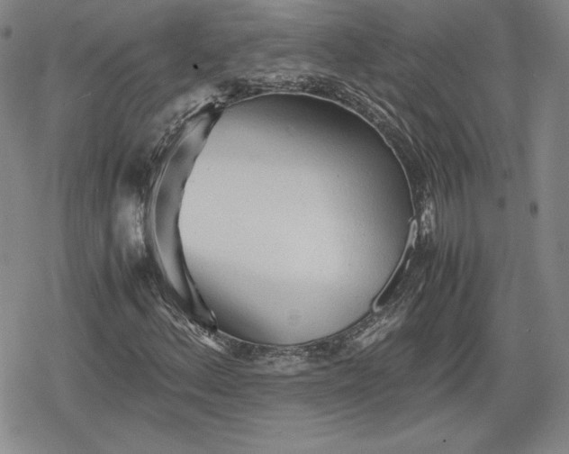 X0000080161156200612221219