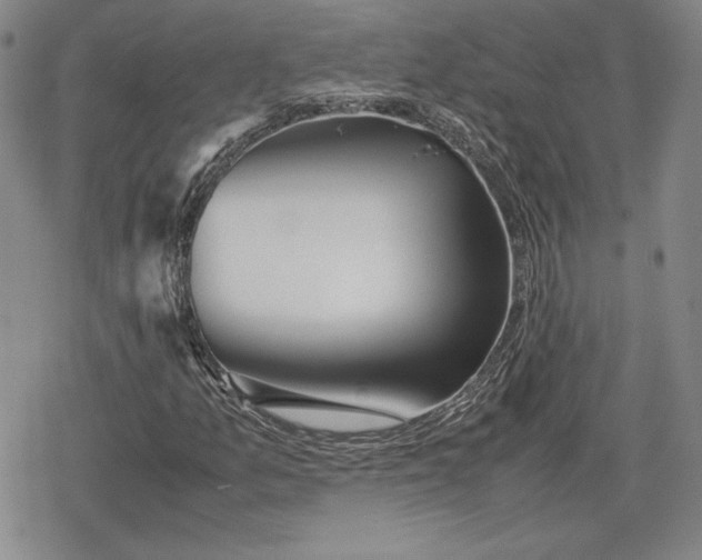 X0000080161157200612221219