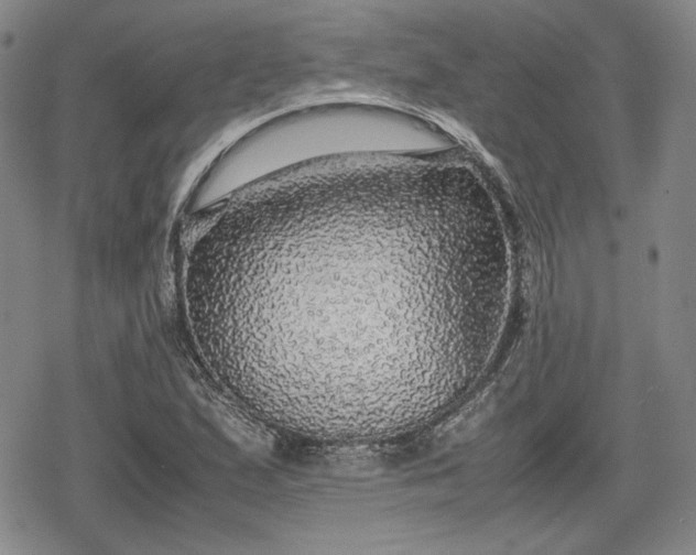 X0000080161167200612221218