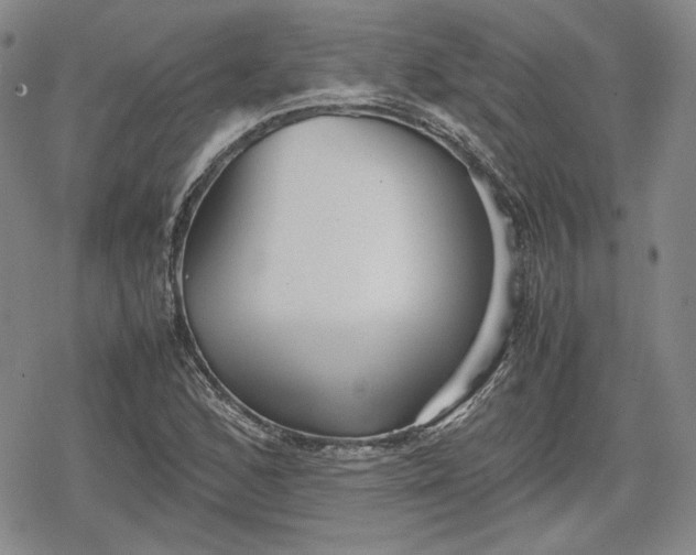 X0000080161168200612221218