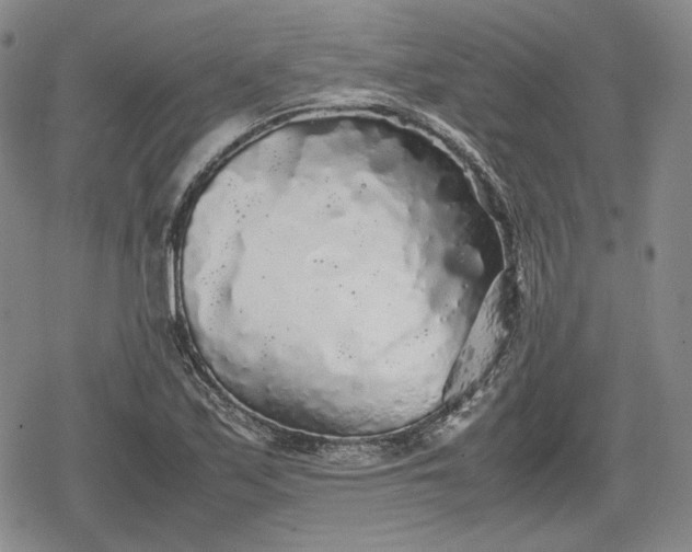 X0000080161171200612221218