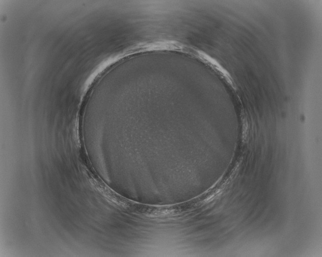 X0000080161174200612221218