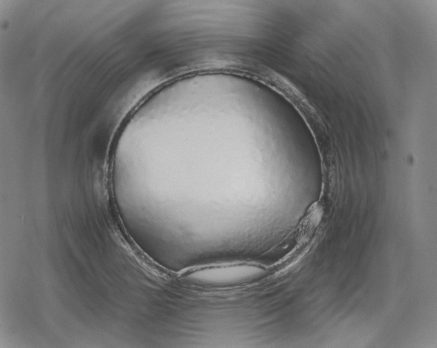 X0000080161178200612221218