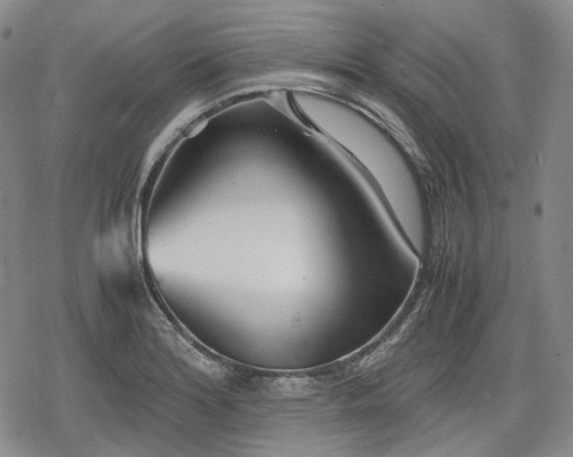 X0000080161180200612221218