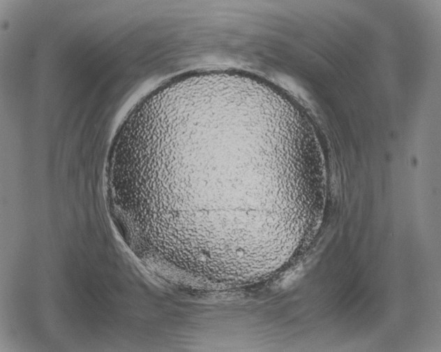 X0000080161183200612221218