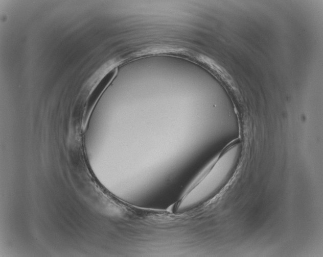 X0000080161185200612221218
