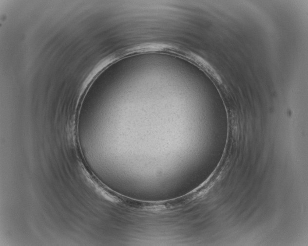 X0000080161186200612221218