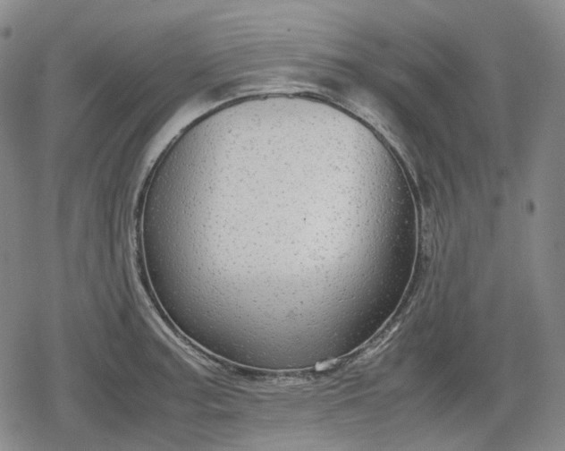 X0000080161187200612221218