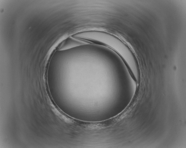 X0000080161189200612221218