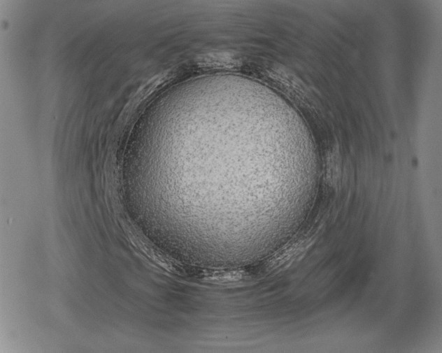 X0000080161201200612221217