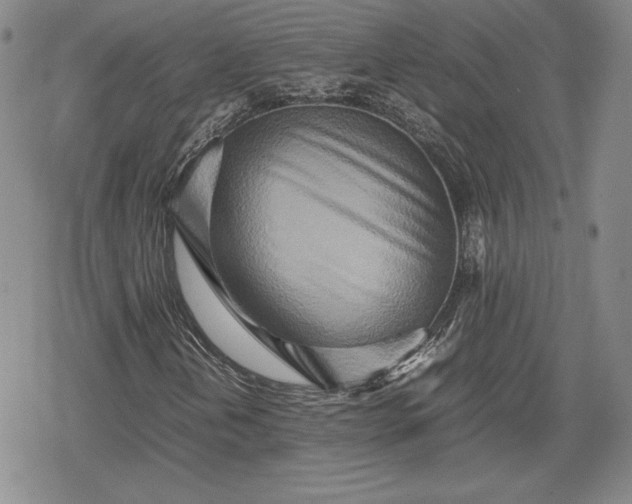 X0000080161202200612221217