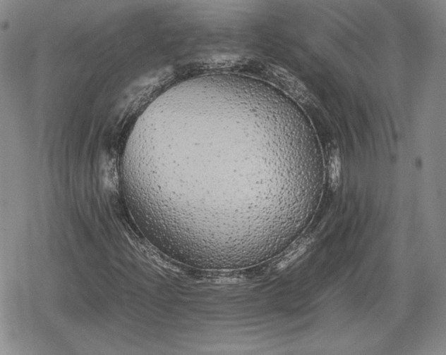 X0000080161204200612221217