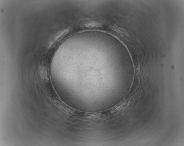X0000080161205200612221217
