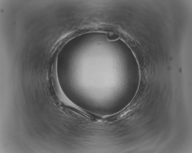 X0000080161206200612221217