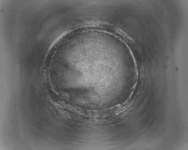 X0000080161208200612221217