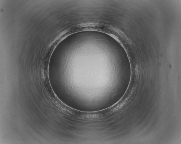 X0000080161209200612221217