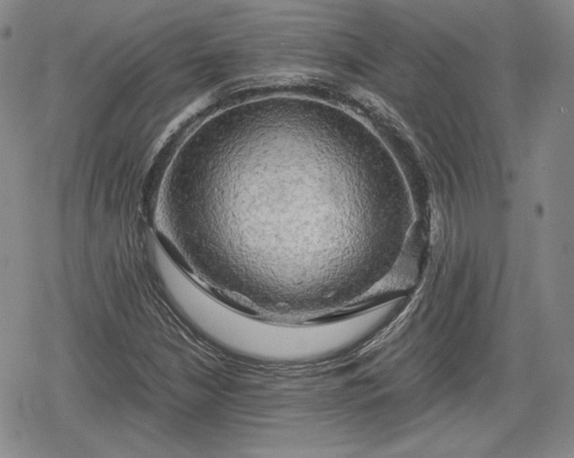 X0000080161210200612221217