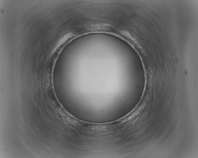 X0000080161211200612221217