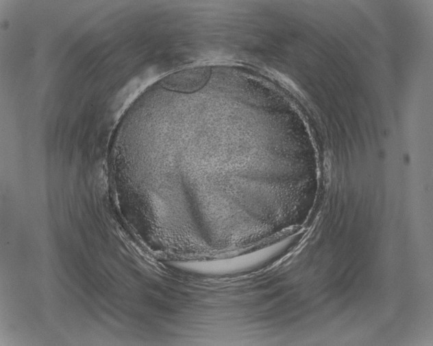 X0000080161212200612221217