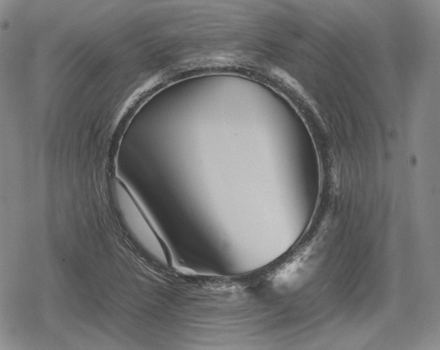 X0000080161218200612221217