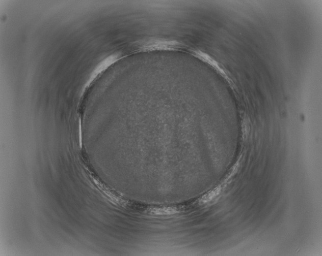X0000080161219200612221217