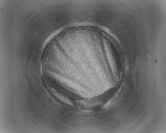 X0000080161221200612221217