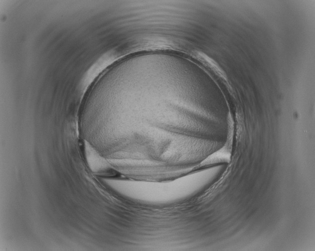 X0000080161226200612221218