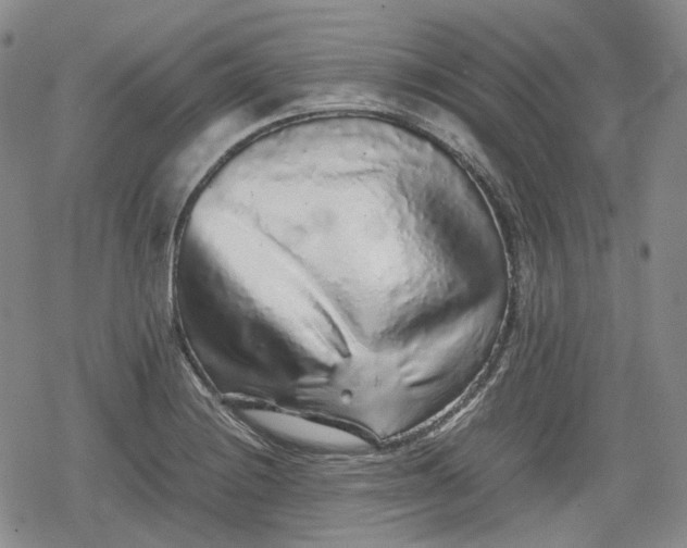X0000080161228200612221218