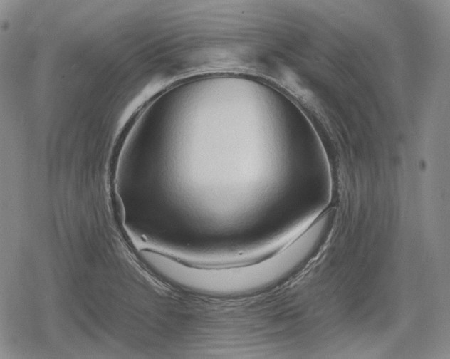 X0000080161230200612221218