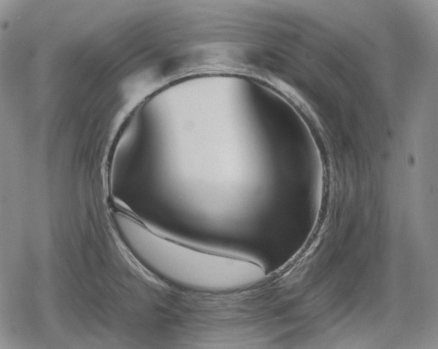 X0000080161238200612221218