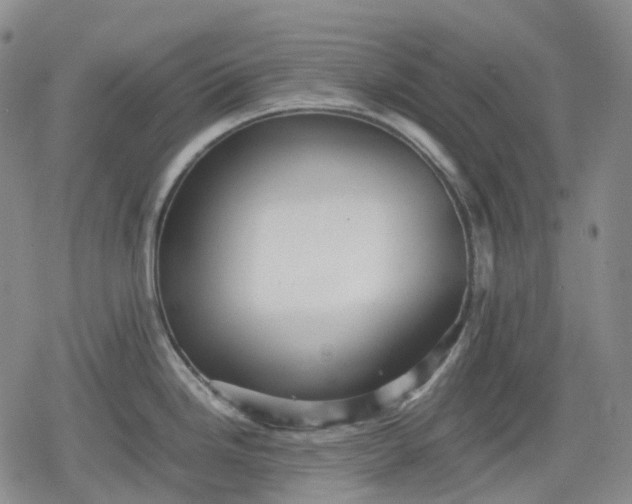 X0000080161246200612221218
