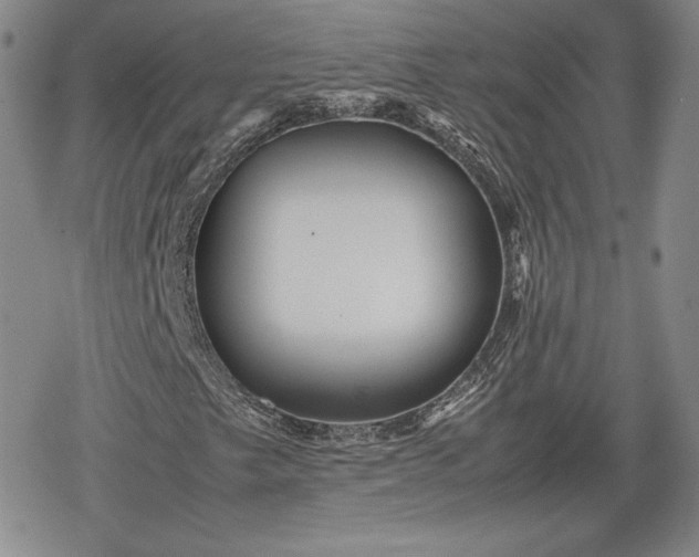 X0000080161249200612221217