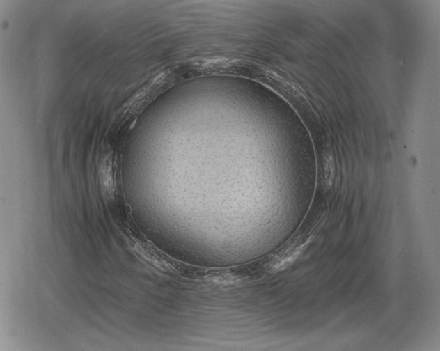X0000080161250200612221217