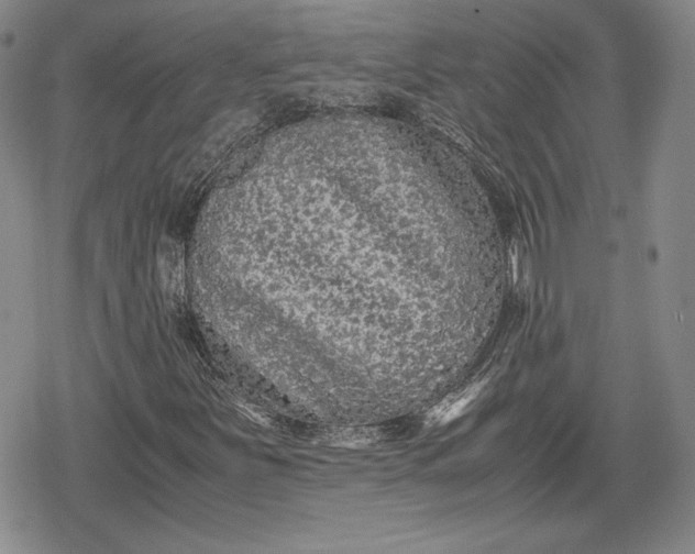 X0000080161251200612221217