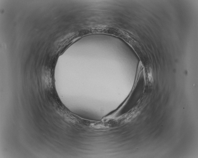 X0000080161252200612221217