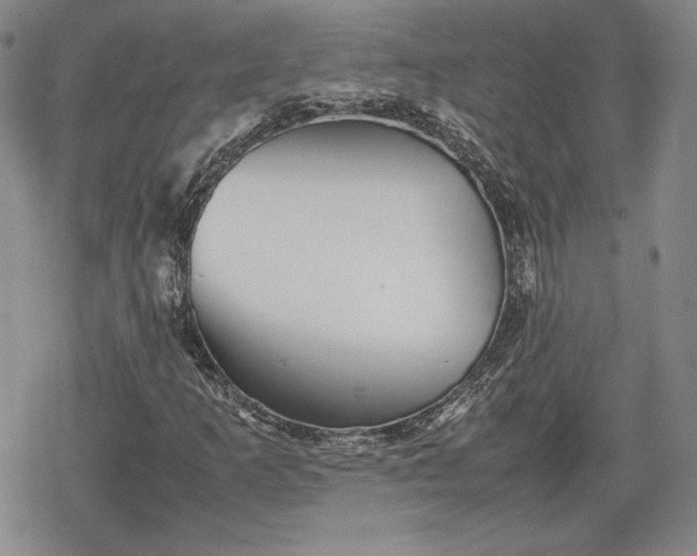 X0000080161253200612221217
