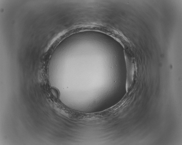 X0000080161256200612221217