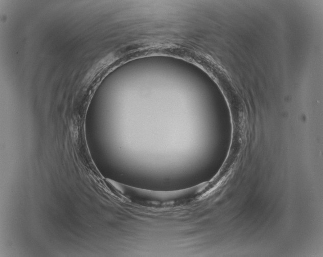 X0000080161257200612221217