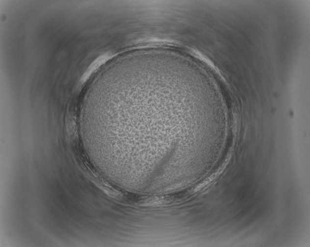 X0000080161259200612221217