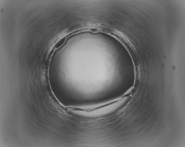 X0000080161260200612221217