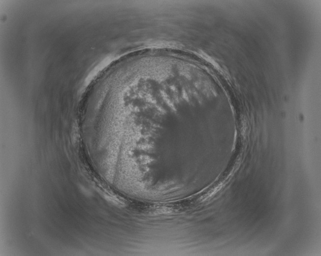 X0000080161263200612221217