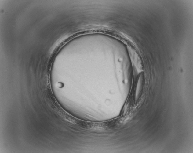 X0000080161267200612221217