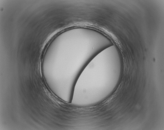 X0000080161272200612221217